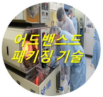 어드밴스드.png